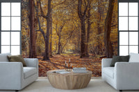 Bright Golden Forest Scene Wall Mural displaying sunlit forest paths.