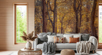 Scenic Golden Forest Scene Wall Mural with glowing woodland light.
