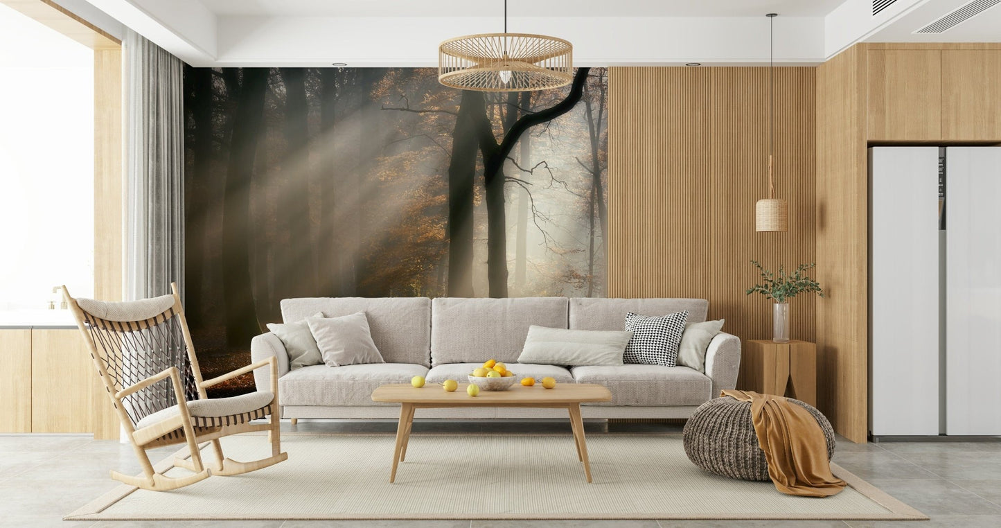 Shadowy forest floor featured in Golden Haze scenic print wallpaper.