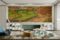peaceful and expansive hill scene

