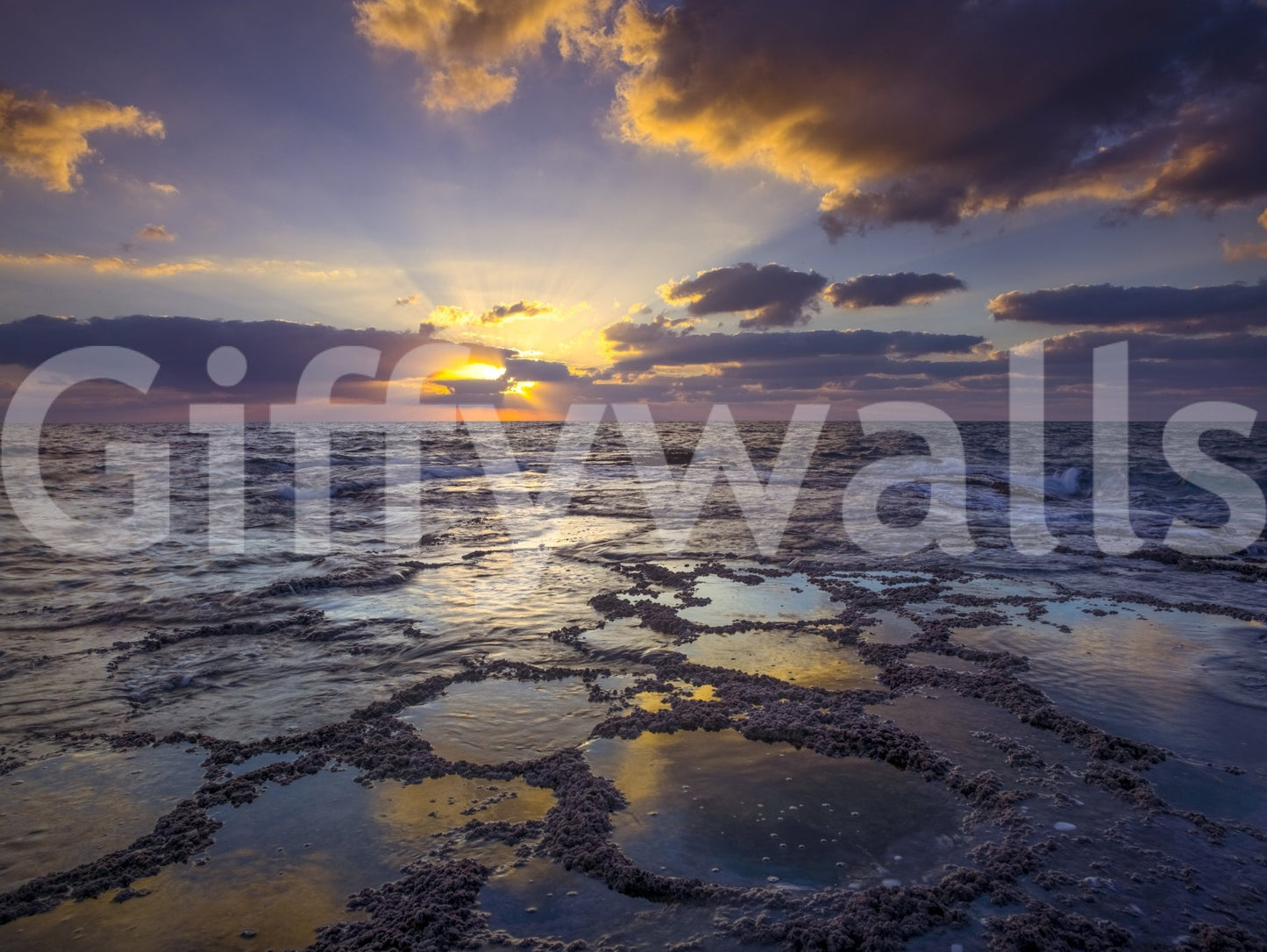 Golden light over the beach captured in a serene wall mural.

