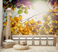 A beautiful snowy landscape wallpaper mural for a modern home.

