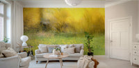 Golden Meadow Abstract Art - Vibrant Nature Landscape Print Wall Mural