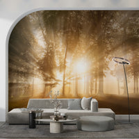 Bright mystical morning Golden Rays Through Trees wall design.