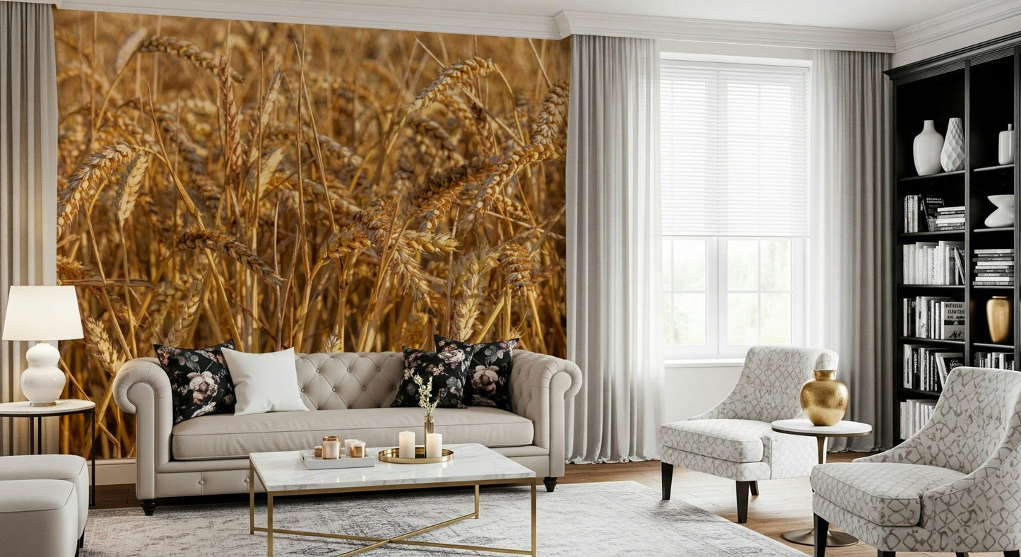 Wallpaper of a serene, expansive, sun-drenched wheat field bliss.
