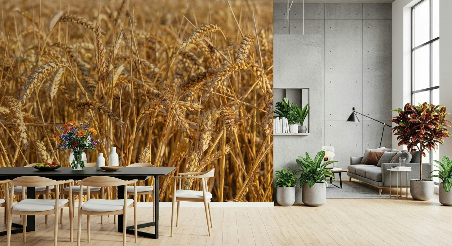 Close-up view, amber sheaves, Golden Wheat Field Bliss art.