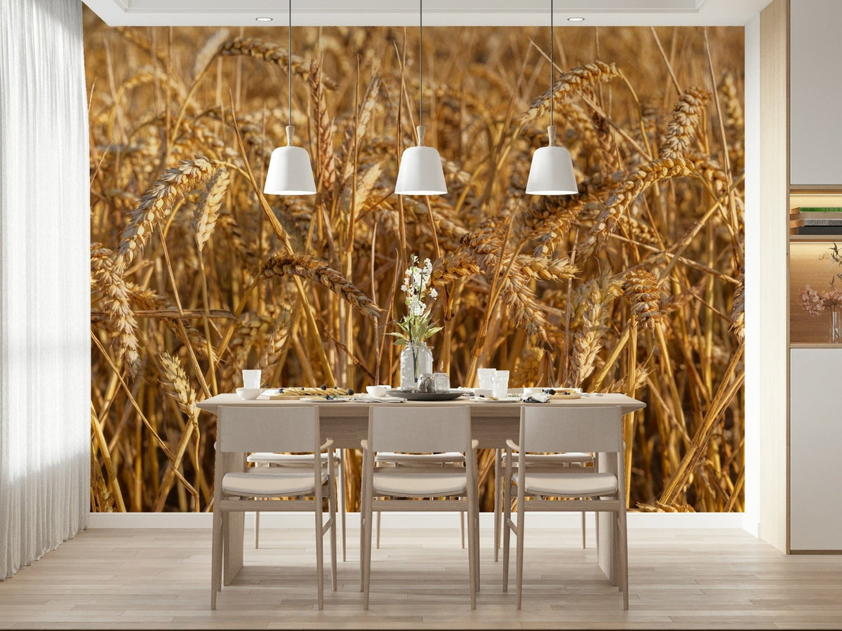 Rustic beauty, a serene Golden Wheat Field Bliss agricultural wallpaper.