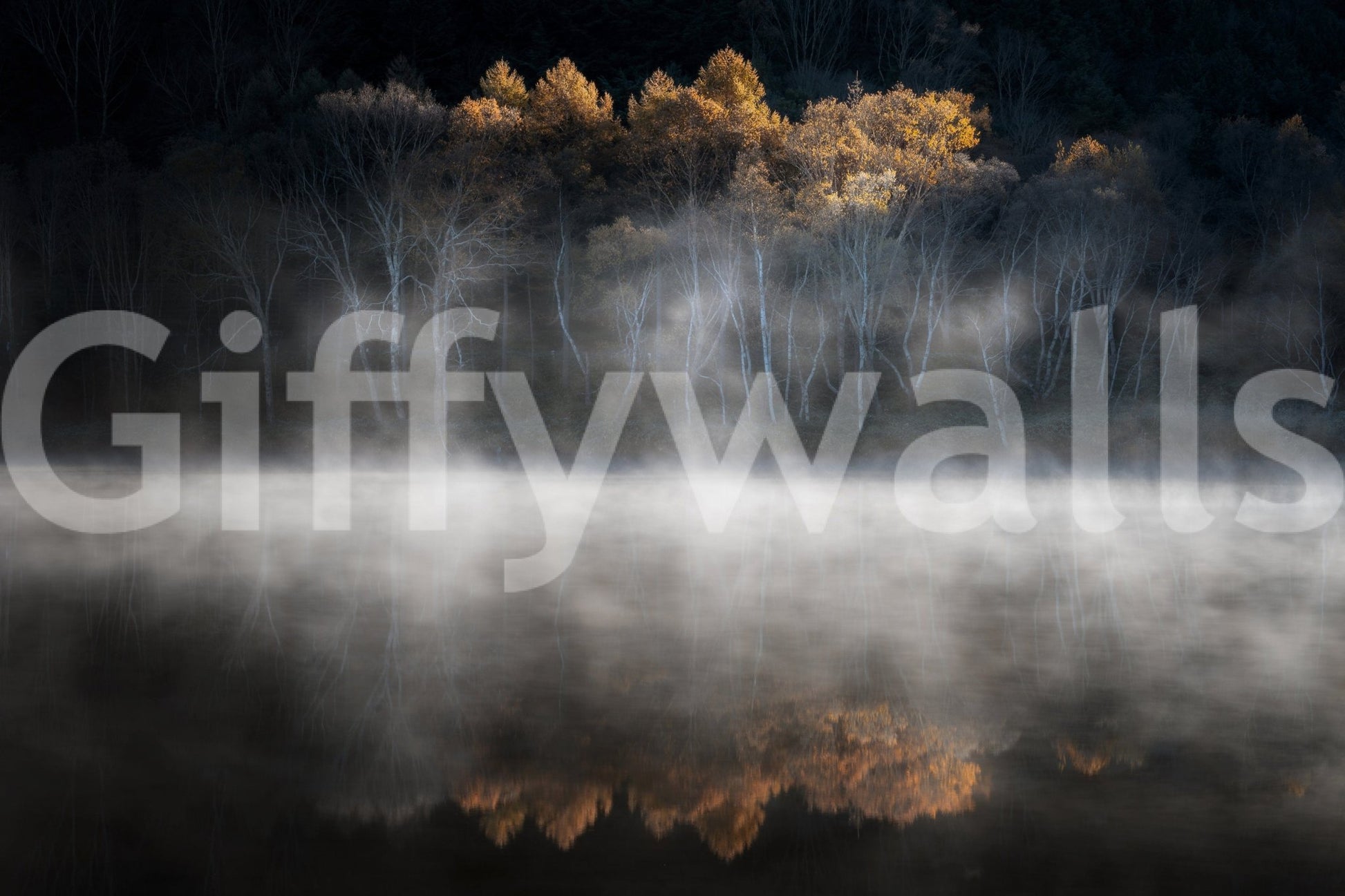 Striking Golden Woodland wallpaper, tranquil waterside scenery.