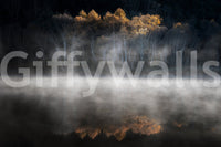 Striking Golden Woodland wallpaper, tranquil waterside scenery.