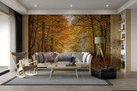 The leaves on the trees and the ground are in shades of yellow, gold, and orange.

