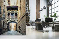 Ancient walkway Gothic Quarter Archway wall mural custom size available.