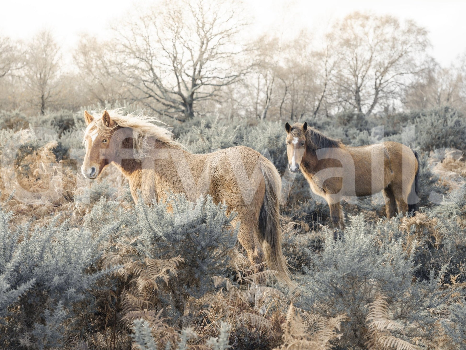 Graceful Grazers Wall Mural