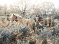 Graceful Grazers Wall Mural