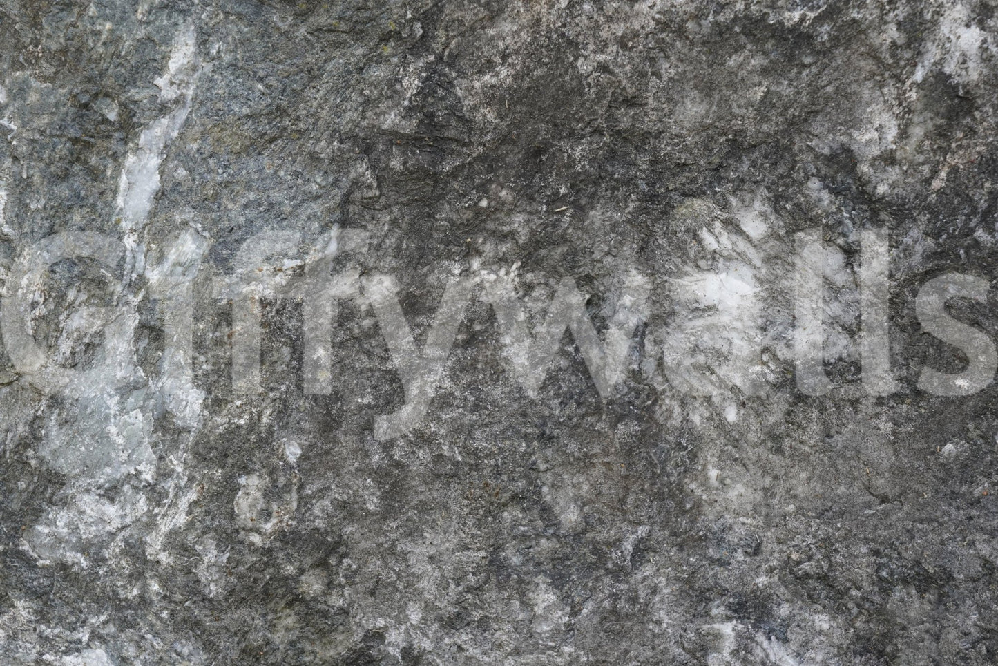 Granite Depths Wall Mural -2566619