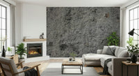 Granite Gray wallpaper mural behind a white sectional sofa beside a lit fireplace and leafy plants