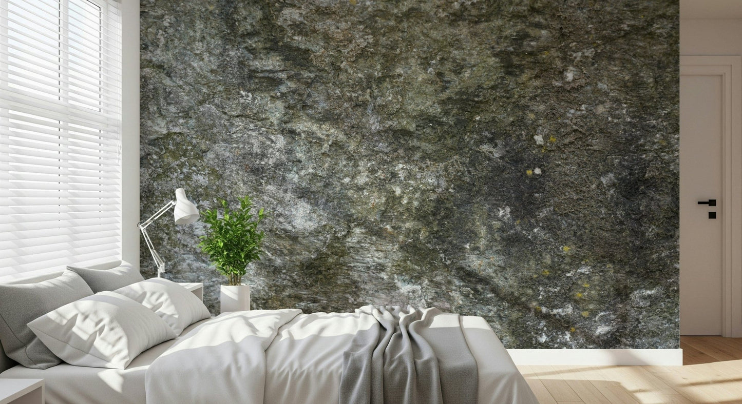 Granite Grit Wall Mural -2566620