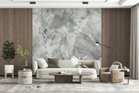 Wall mural with detailed gray marble veins for modern, elegant interiors.