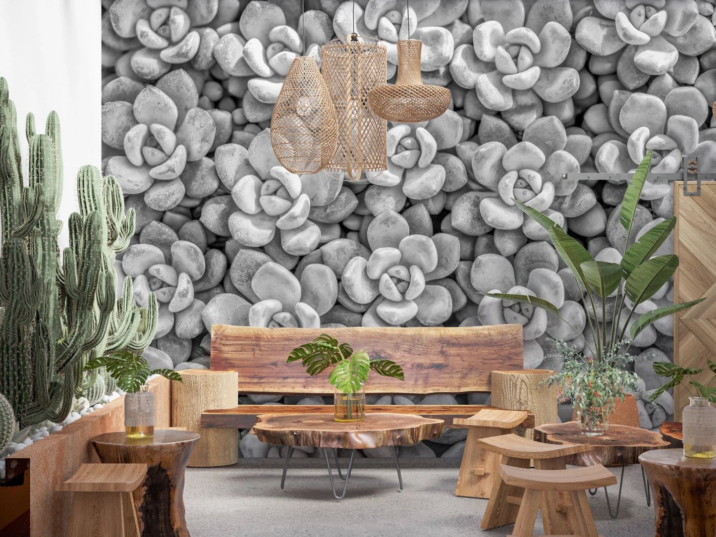 Elegant Grayscale Succulent Array Wall Mural with soft shadow contrast.