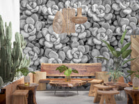 Elegant Grayscale Succulent Array Wall Mural with soft shadow contrast.