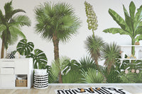 Green Forest Palm tree Wallpaper Murals - Giffywalls