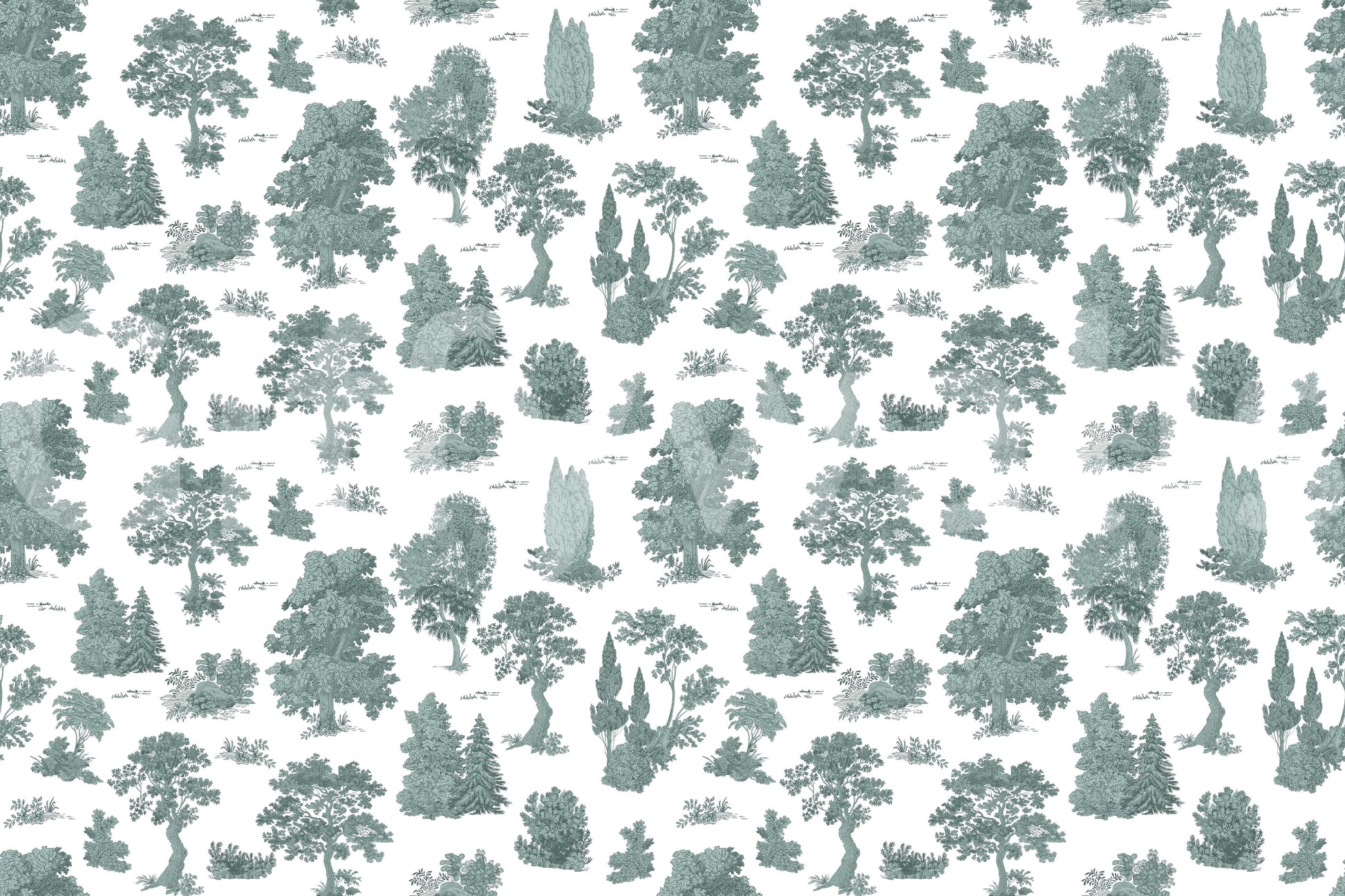 The style is a soft-focus illustration or a painterly design.

