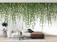 Green Hanging Ivy Leaves Wallpaper Mural - Giffywalls