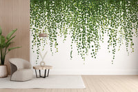 Lush green hanging ivy wallpaper design mural
