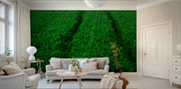 An artistic abstract motion mural for home decor.

