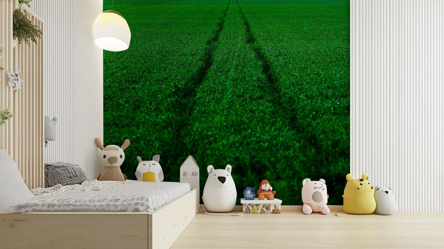 A beautiful track and field wallpaper mural for an active room.

