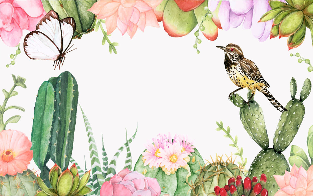 Succulents Plants wallpaper murals in your room