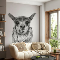 Ideal for a child's room, nursery, living room, or study.

