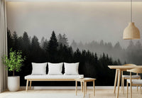 Moody mist covers dark pine trees, a Canyon Woodland Haze wallpaper.