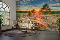 Self adhesive nature wallpaper for wall in a farmhouse living room.

