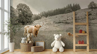 Close-up of a Highland cow in a grazing field wall mural

