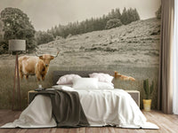 Farm-inspired wallpaper featuring a Highland cow in a field

