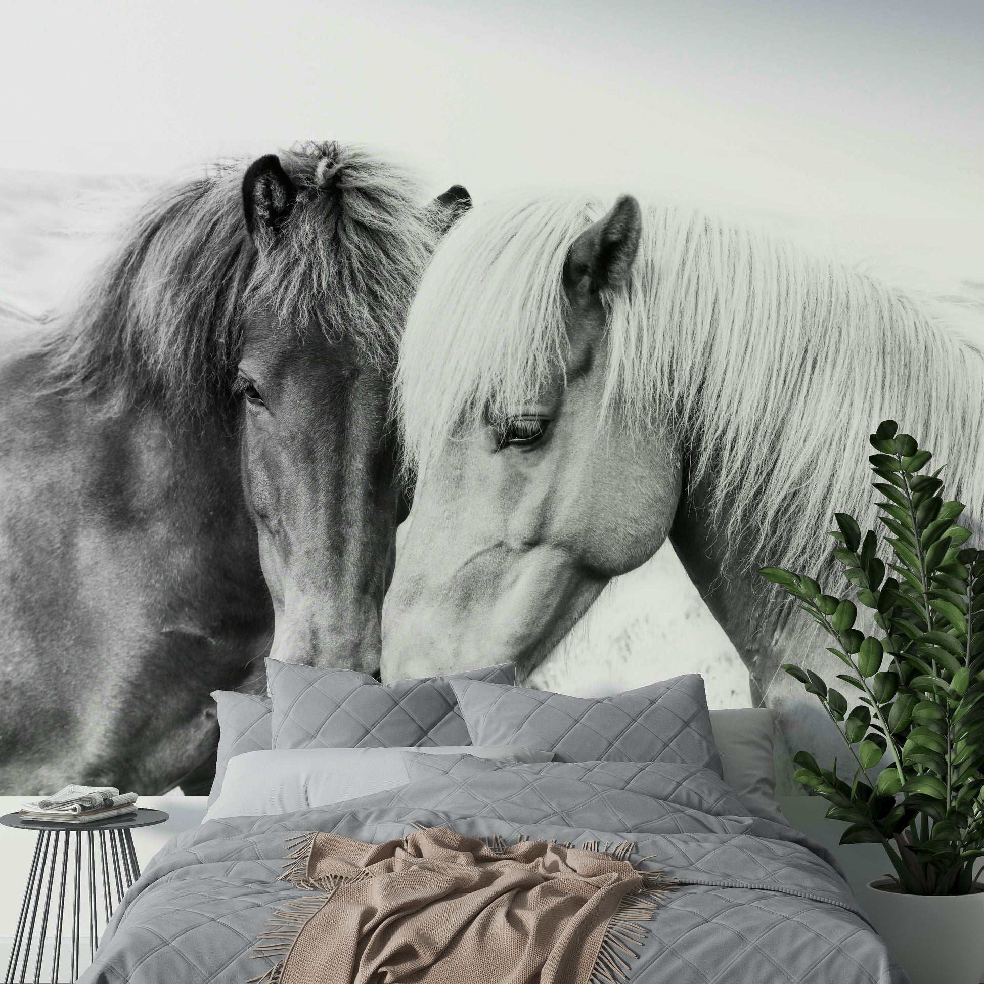 Horse Love wallpaper mural of two nuzzling horses in black and white behind a grey bed with a blush throw
