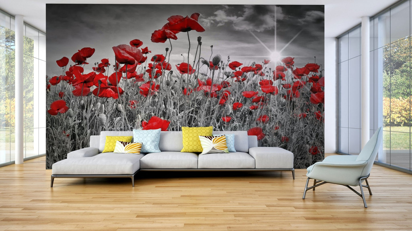 Poppy field wall mural with sunlit warm tones

   