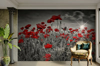 Peel and stick poppy field wall mural with sun

