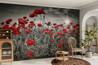 Soft poppies in field wall mural with glowing sunlight

