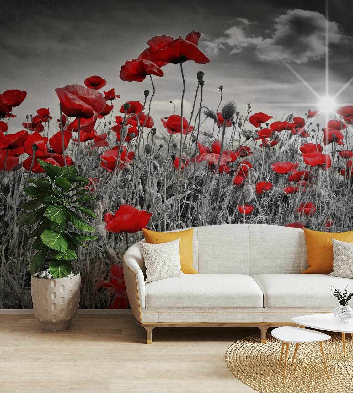 Vibrant poppies in sun wall mural for peaceful decor

