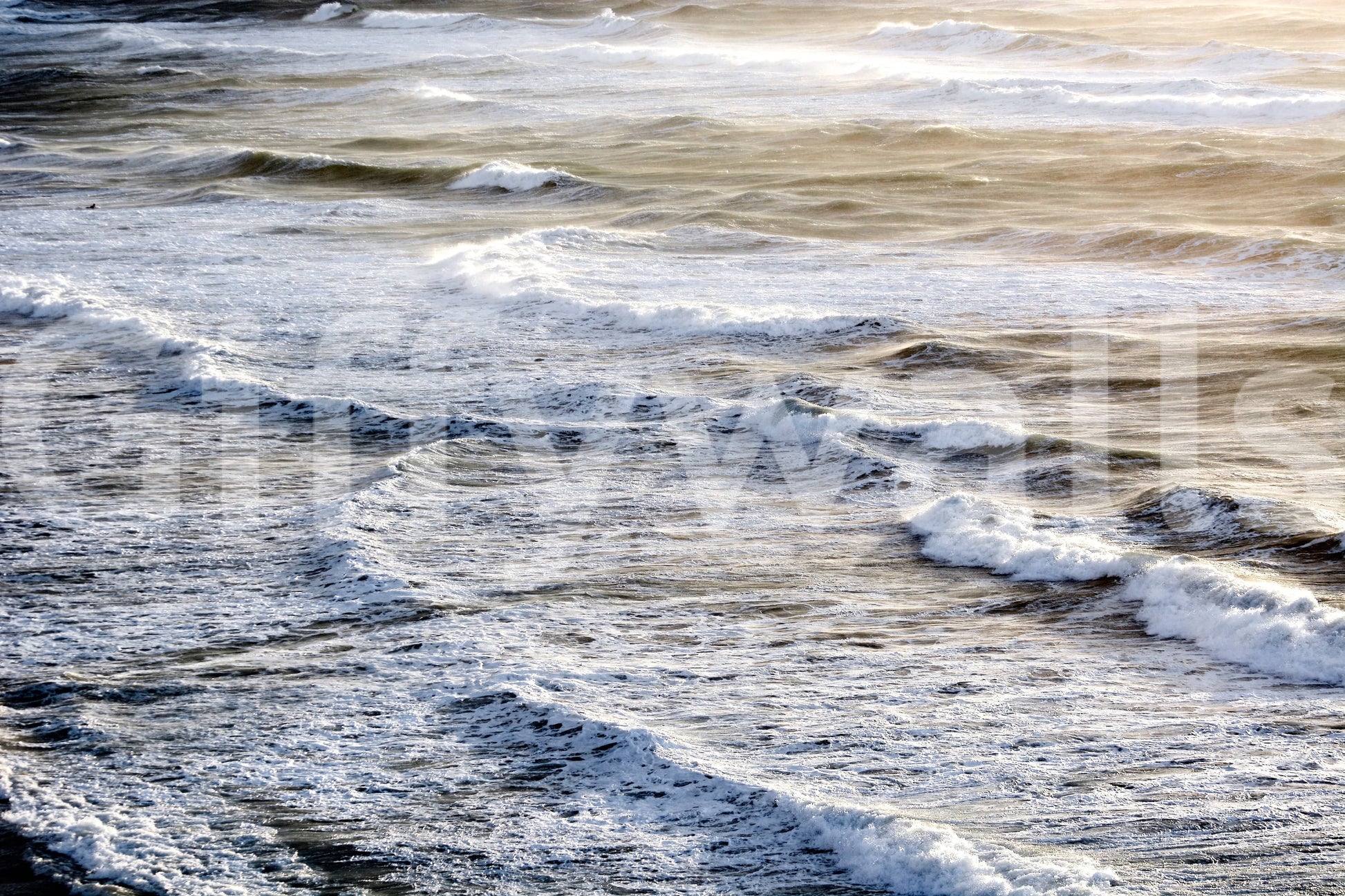 A tranquil endless ocean mural on the wallpaper.

