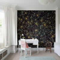 Infinite Universe Wall Mural