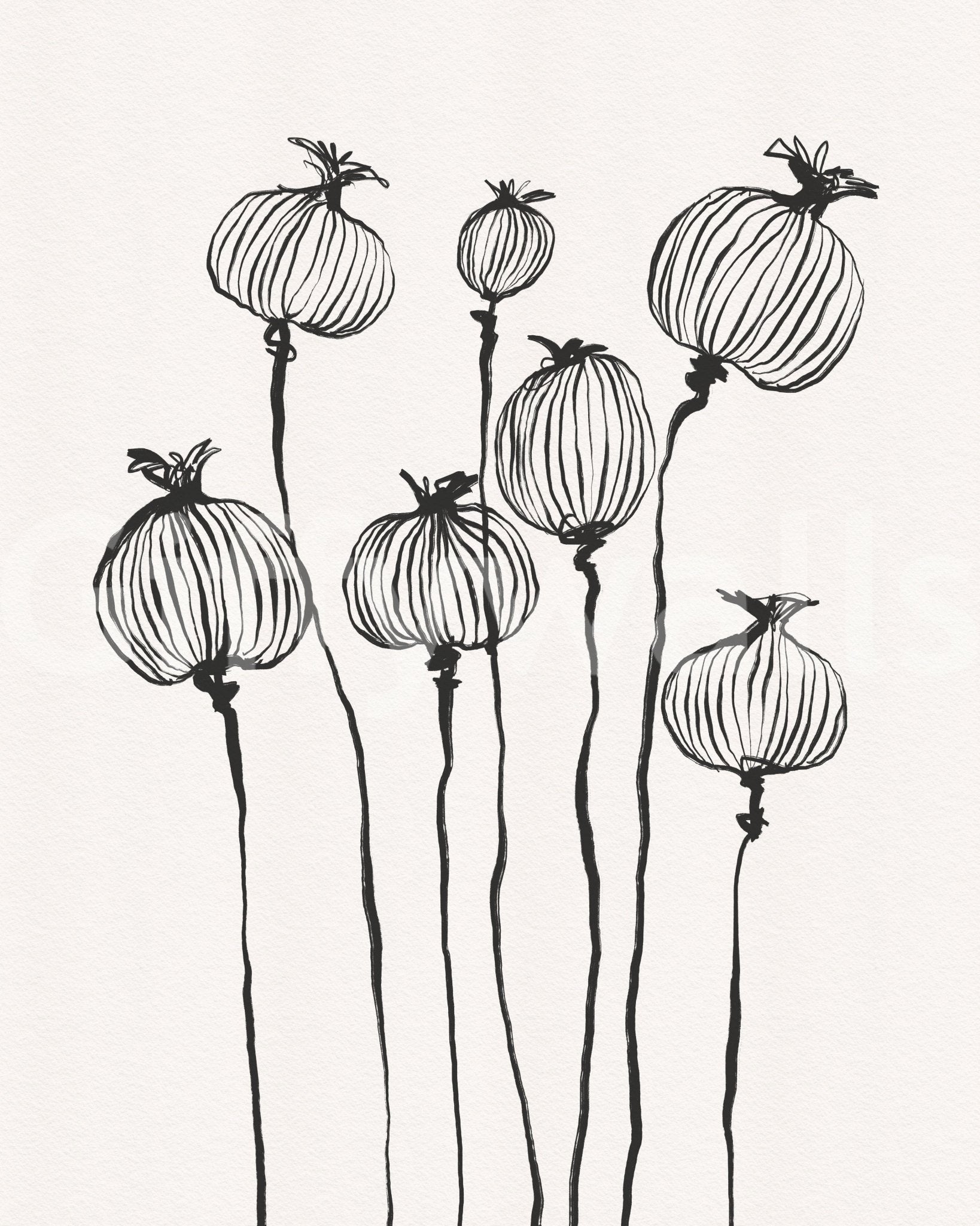 Ink Poppy Pods wallpaper mural shown as a full-wall design of black sketched poppy seed pods on cream