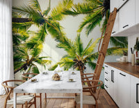 Designer Island Breeze wallpaper, ceiling view, sunny outdoor look, tropic.