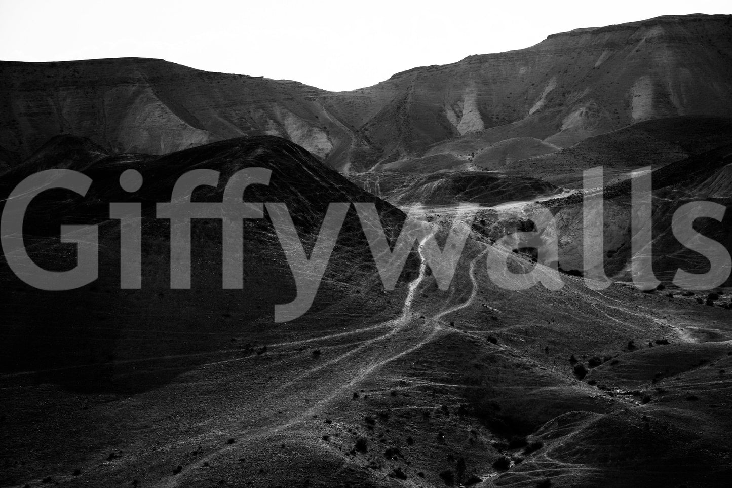 A high-quality serene mountain wall mural for walls.

