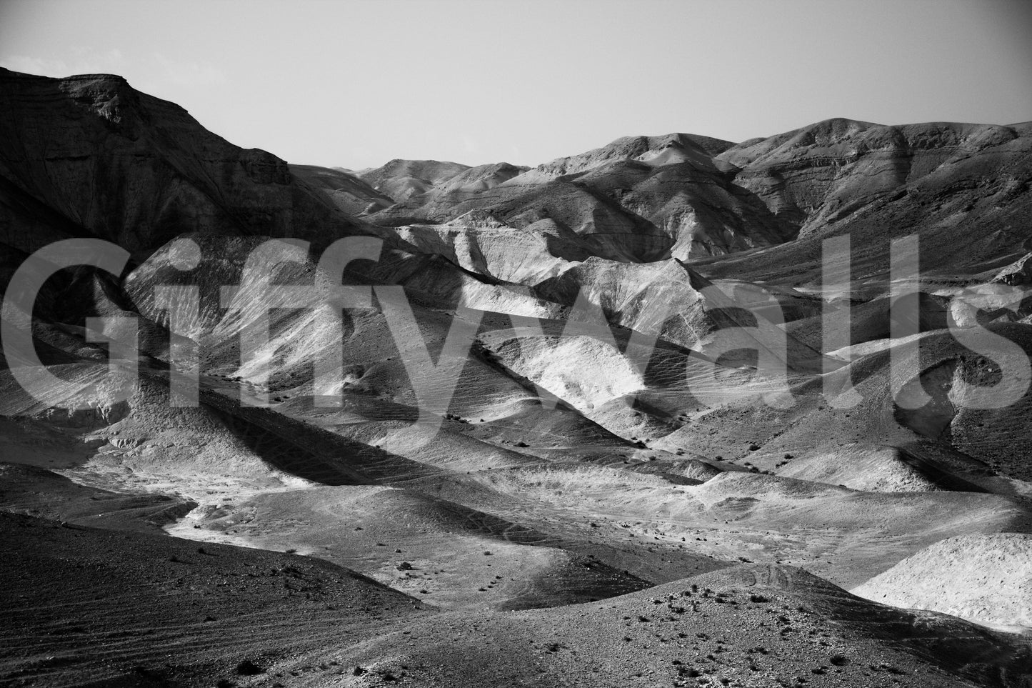 A high-quality serene mountain wall mural for walls.

