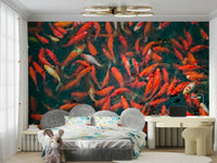 Vibrant koi fish swimming in a pond.

