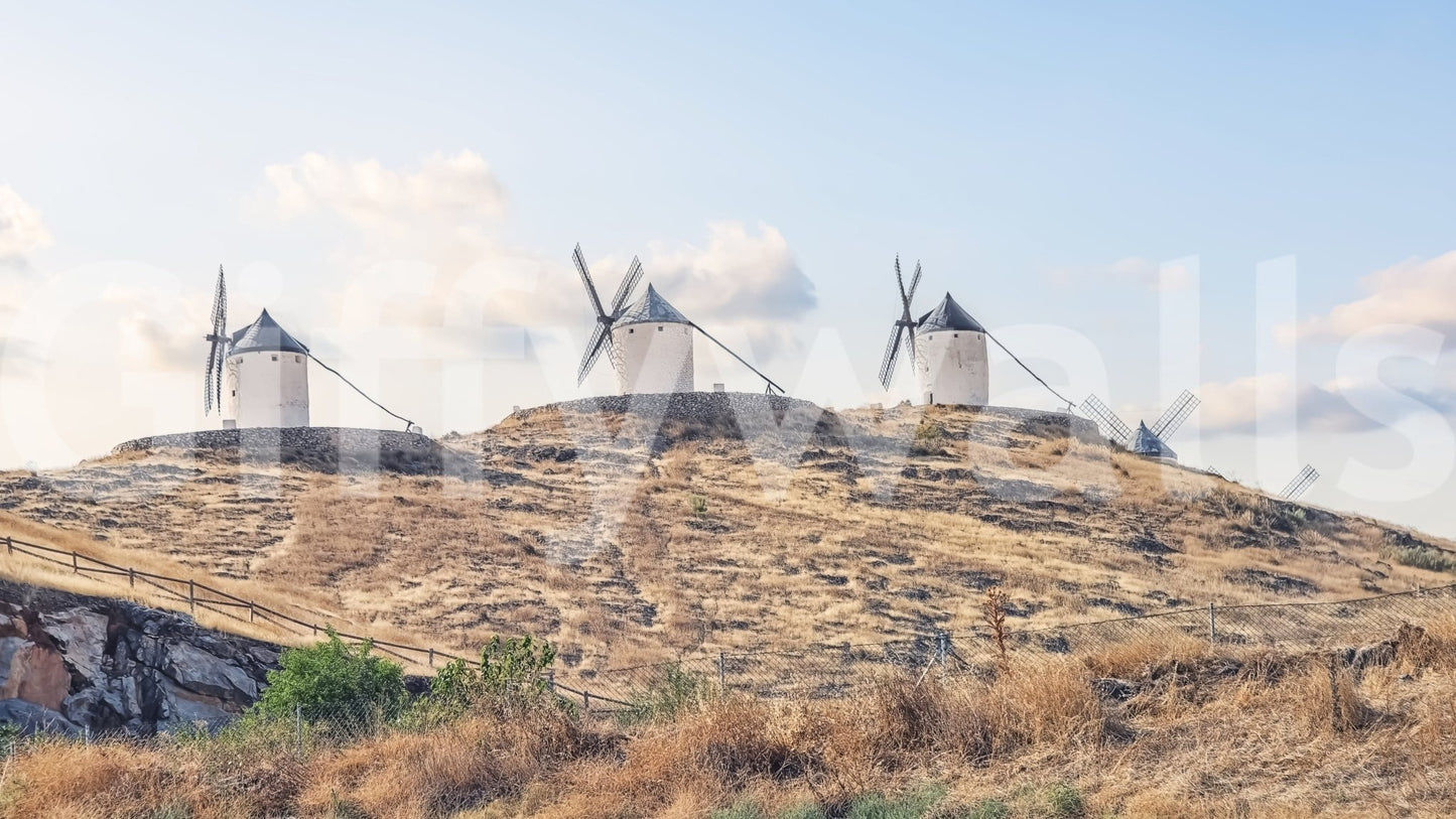 White houses La Mancha Windmills peel and stick wallpaper feature wall.