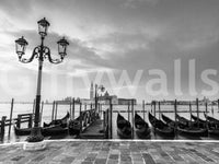 Lagoon Lights Wall Mural