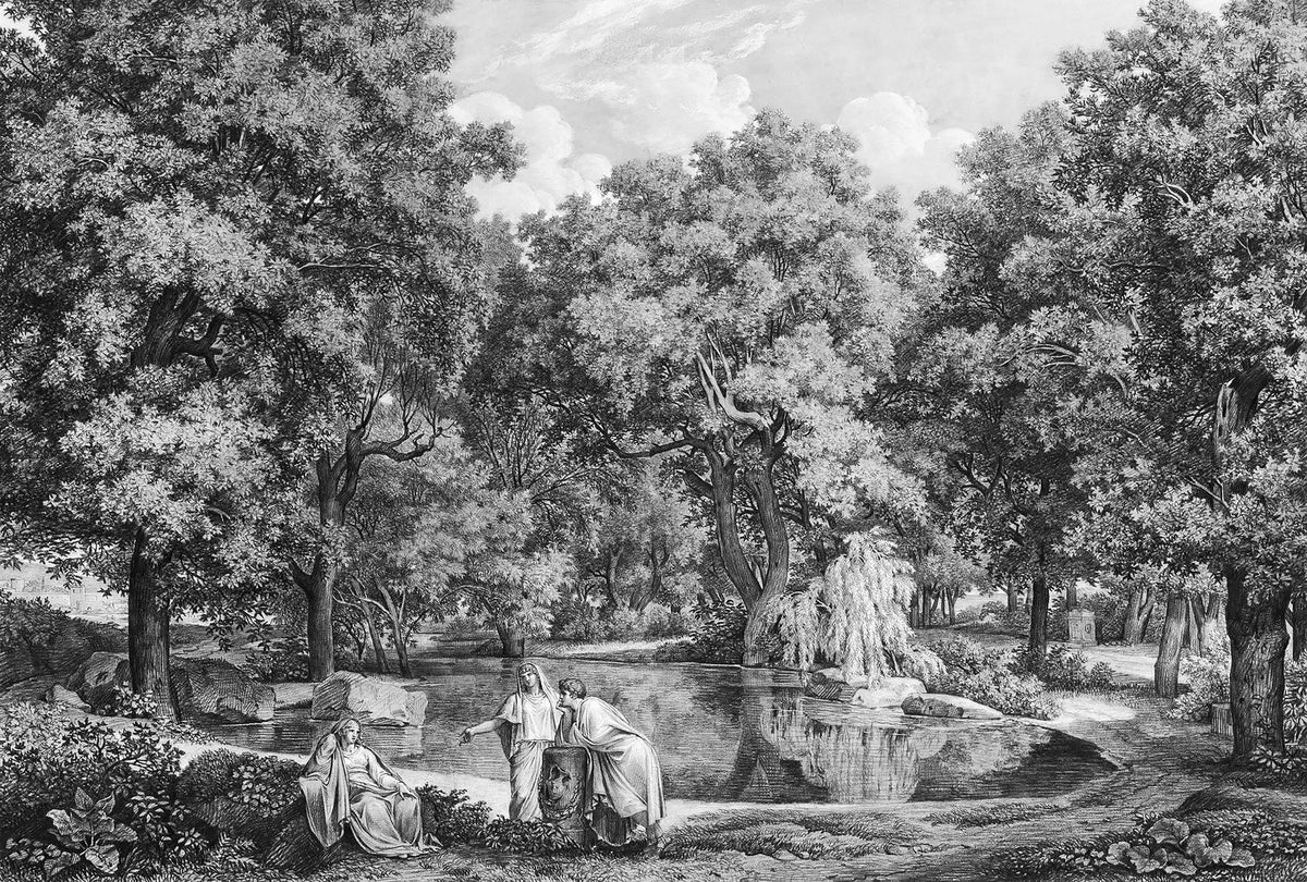 Black and White Lakeside Talk Wallpaper Mural